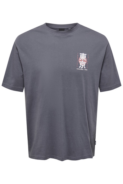 Only & Sons T-Shirt KEANE Kurzarmshirt