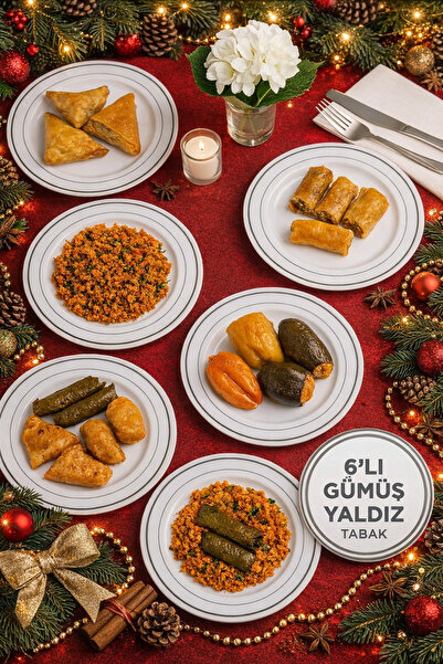 Open Home Concept Porselen Görünümlü Gümüş Yaldızlı 19 Cm Lüks Plastik Tabak ...