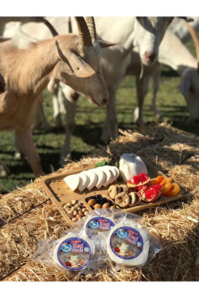 Zeytinli Keçi Çiftliği Top Keçi Peyniri 500 Gr. (SALAMURADA DİNLENDİRİLEN %100 KEÇİ SÜTLÜ KAYA TUZLU)