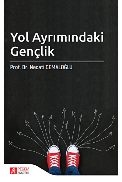 Pegem Akademi Yayıncılık Yol Ayrımındaki Gençlik