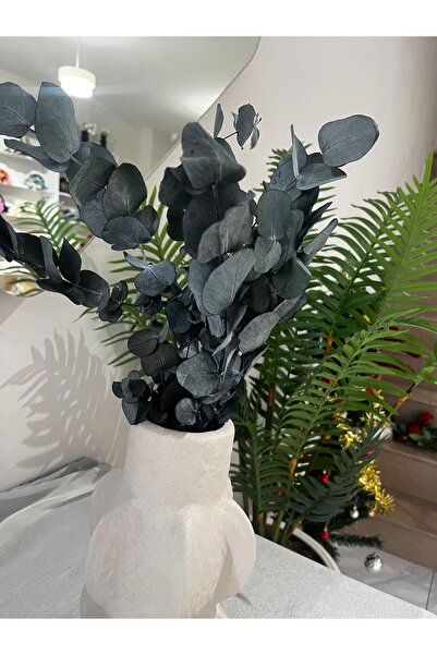 Ziva DEKOR Şoklanmış Okaliptüs