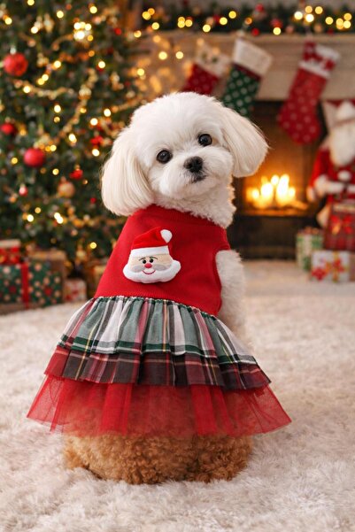 MİNİŞ PET BUTİK Miniş Snowman Tutu Small Breed Dog Dress