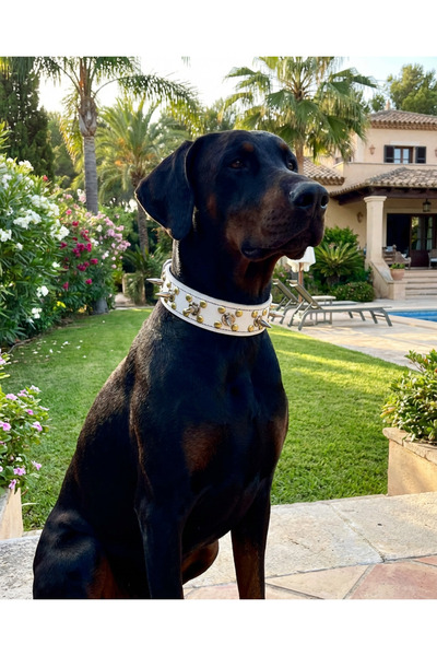 kozaklı طوق كلب مرصع بطبقة مزدوجة من الجلد