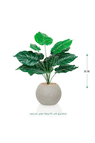 CENTRHOME 55 cm long heart-shaped leaf seedling in a spherical pot