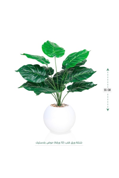 CENTRHOME شتلة ورق قلب بطول 55 سم بمركن مكور