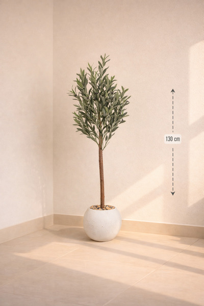 CENTRHOME شجرة زيتون طول 130 سم مركن مكور