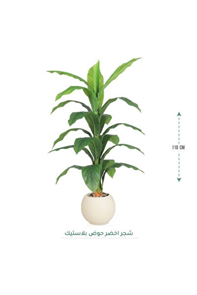 CENTRHOME شجرة دارسينا بطول 110 سم بمركن كروي