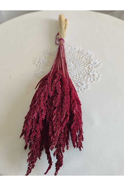 Birlik Bulgur Otu Doğal Kuru Çiçek Bordo