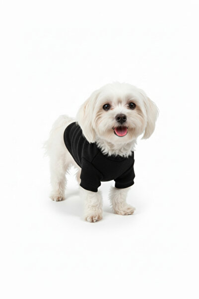 Yumuşak Tüylü Patiler Cat-Dog Black Sweatshirt - Cat Dog Outfit - Small Breed