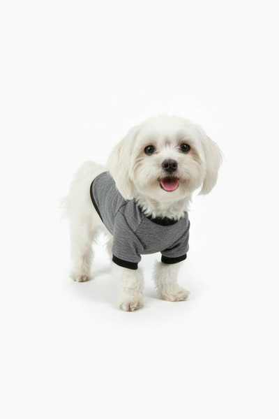 Yumuşak Tüylü Patiler Cat-Dog Dark Gray Sweatshirt - Cat Dog Outfit - Small B...