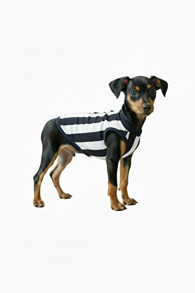 Yumuşak Tüylü Patiler Kedi-Köpek Taraftar Forma Siyah Beyaz - Küçük Irk