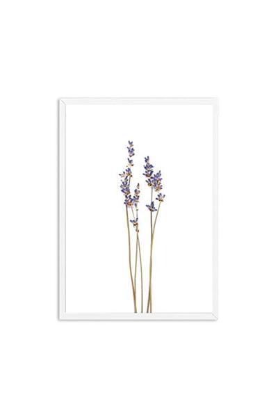 ALAYRA International لوحة قماشية لنبات زيت اللافندر بأوراق خضراء من ألايرا، م...