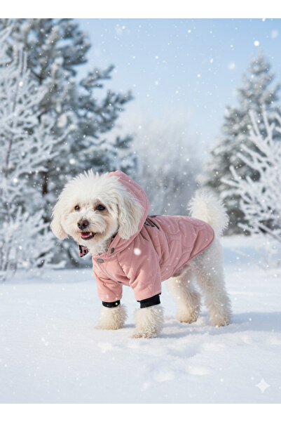 PATİLİNKA Kedi - Köpek Kapitoneli Şişme Kalın Yağmur ve Kar Geçirmez Kışlık M...
