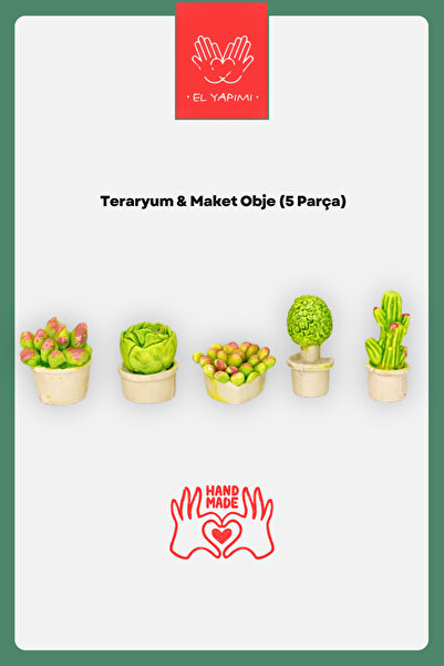 HOBİ 5’li Saksıda Kaktüs Seti Minyatür Bahçe Dekoru – Teraryum ve Maket Akses...