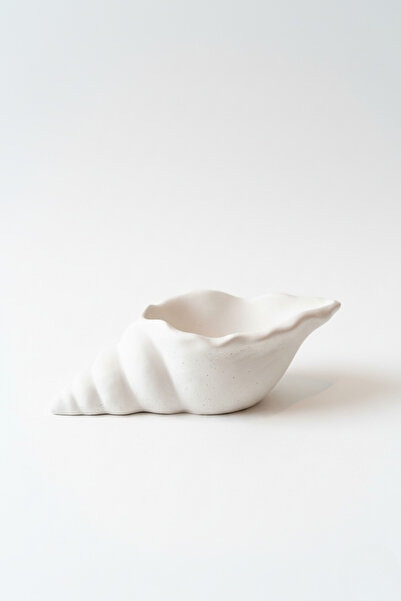 IONIC HOUSE Coralia Sea Shell Tray / Seashell Decorative Plate