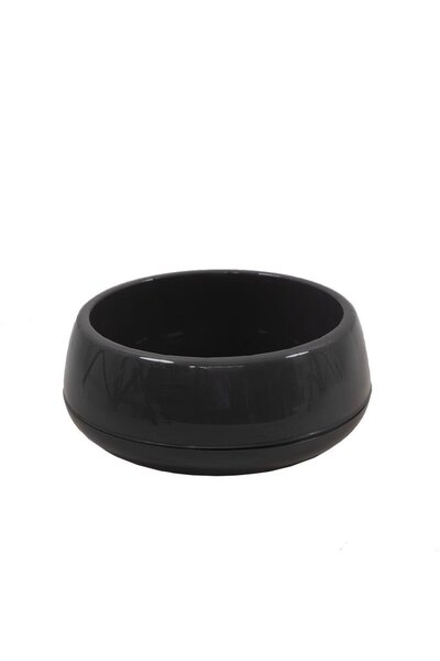 SERİNOVA Kaktüs Arajman Saksı No: 3 4,8 Lt