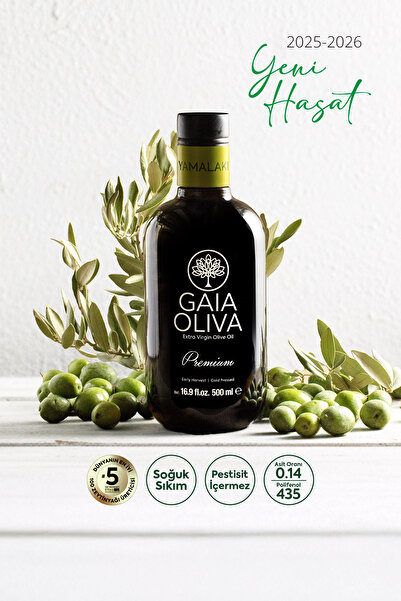 Gaia Oliva Premium Yamalak Sarısı 500 ml Erken Hasat Natürel Sızma Zeytinyağı (Yeni Hasat)