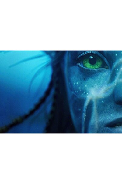 OEM Posterul Avatar Calea Apei 2, 61x90cm, poster1187, Zumzeria