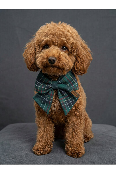 Patiset ربطة عنق خضراء منقوشة للكلاب - إكسسوار للحيوانات الأليفة يُعلق على طوق الرقبة