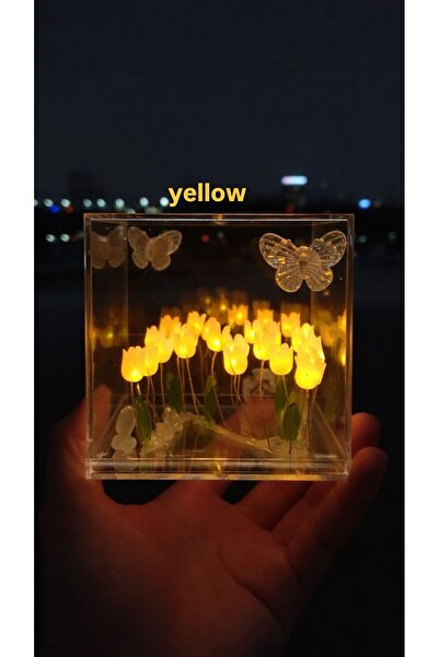 monthiron lale bahçesi gece ve masa lambası 10x10 şeffaf fanus hazır seygiliy...