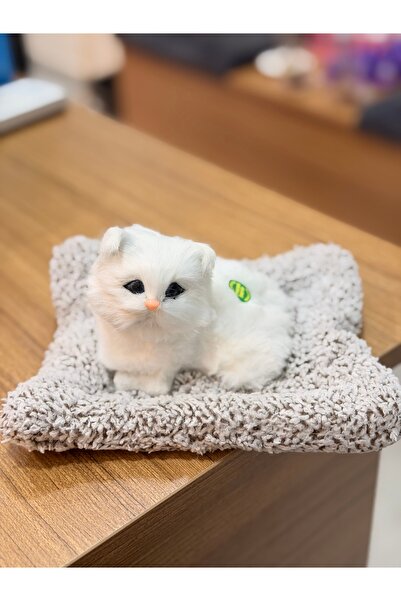 GenelTedarik MİYAVLAYAN PELUŞ KEDİ 2 ADET