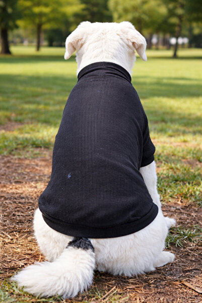 petite pati سترة الكلب الأسود – ملابس شتوية أنيقة تحافظ على الدفء للكلاب