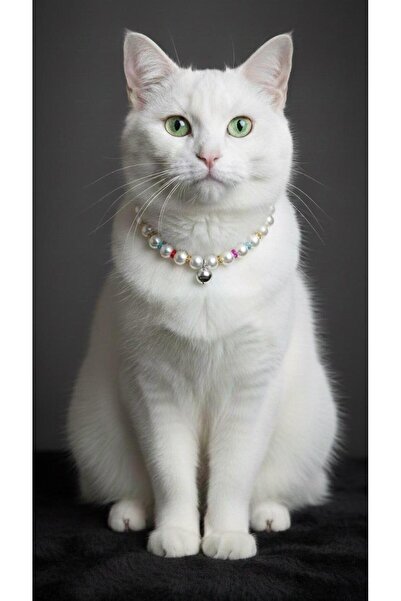 Vira Rise إكسسوار زينة لطوق القطط مصنوع من الخرز الأبيض اللؤلؤي مع جرس أبيض