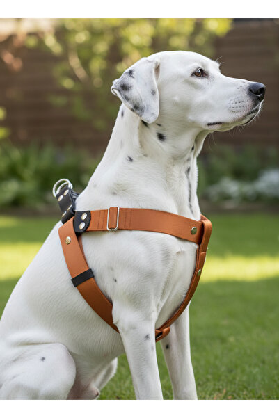 balkonda طوق صدر للكلاب من السلالات الكبيرة والمتوسطة الحجم، مصنوع خصيصًا من ...