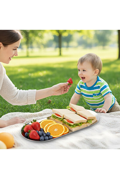 Youhe 6 Pcs Kids Stainless Steel Dinner Set, Dessert Fruit Tray, Feeding Tabl...