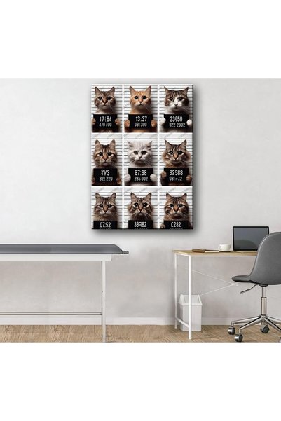 caddeko Pet Center Dekorasyon Veteriner Kliniği Tabloları Kediler vtr40