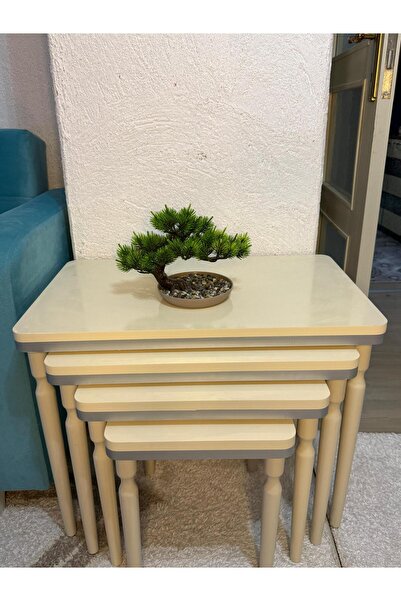 hgalpdesing 4'lü Lüx Mdf Ahşap Zigon Sehpa Beyaz Gümüş