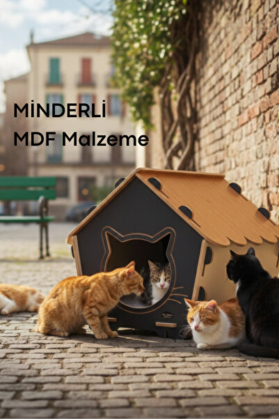 Patihomes Sokak Kedi Evi - Kedi Klubesi