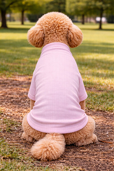 petite pati Pembe Köpek Kıyafeti kazak