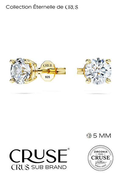 Cruse 925 Ayar Gümüş 5 MM Tektaş Küpe 14 Ayar Altın Kaplama