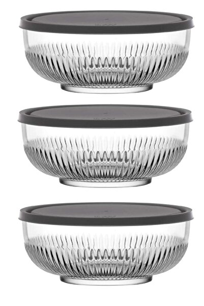 LAV FEYZADE Tokyo Saklama Kabı Seti 3 adet 2600cc GRİ KAPAK (TOK-295)