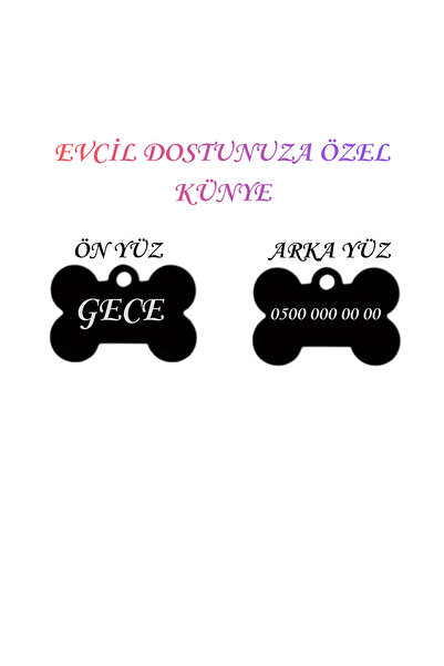 Store İsme Özel Çelik Kedi İsimlik Renk Renk İsme özel Kedi Künyesi Kedi İsim...