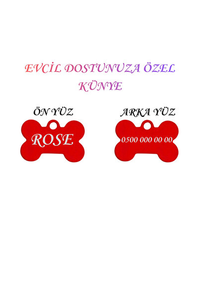Store İsme Özel Çelik Kedi İsimlik Renk Renk İsme özel Kedi Künyesi Kedi İsim...