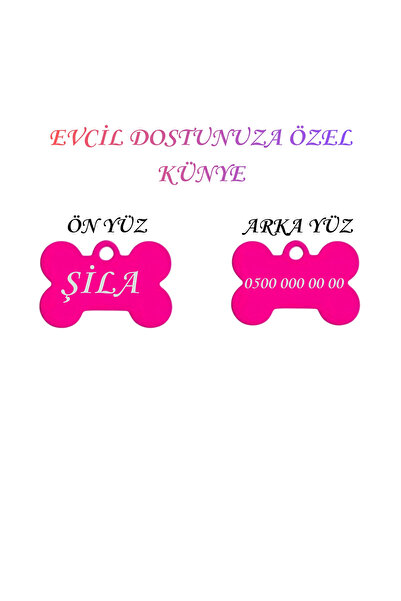 Store İsme Özel Çelik Kedi İsimlik Renk Renk İsme özel Kedi Künyesi Kedi İsim...