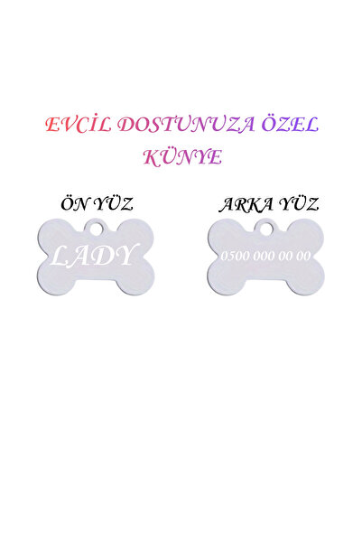 Store Isme Özel Çelik Kedi Isimlik Renk Renk İsme özel Kedi Künyesi Kedi İsim...