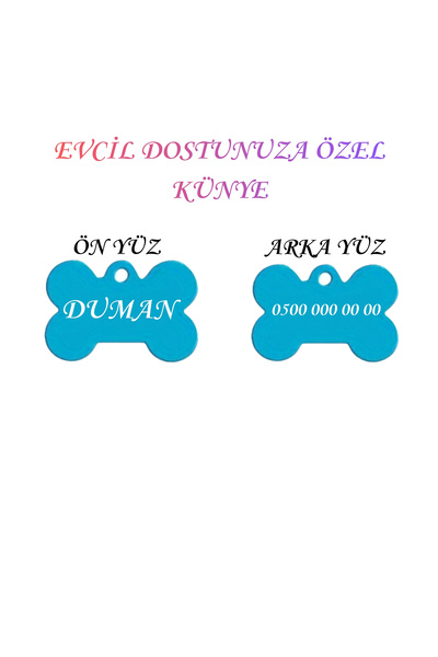 Store İsme Özel Çelik Kedi İsimlik Renk Renk İsme özel Kedi Künyesi Kedi İsim...