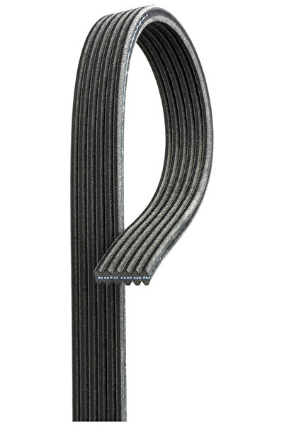 GATES Curea Transmisie Cu Caneluri Vw Multivan T5 (7hm, 7hn, 7hf, 7ef, 7em, 7en) 2003-2015 Diesel