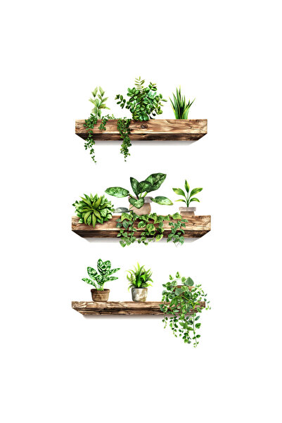 Choice مجموعة ملصقات جدارية إبداعية خضراء مكونة من 3 قطع، ملصقات نباتات منزلي...