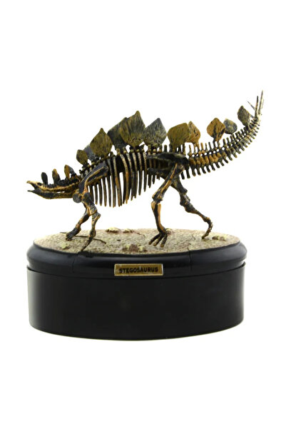 Choice 5 Dinosaur Skeleton ABS Assembly Dinosaur Toys Model Building Kits Col...