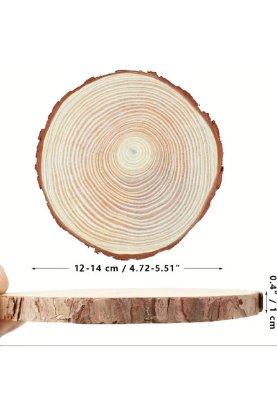 Choice ١٠ قطع من شرائح خشب الصنوبر الطبيعي المستديرة غير المصقولة، مقاس ١٢-١٤...