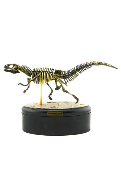 Choice مجموعة بناء نماذج ديناصورات مكونة من 3 هياكل عظمية من مادة ABS، من مجم...