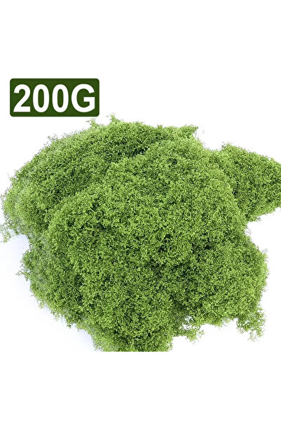 Choice 200 500/30 غرام من طحلب الحياة الأبدية، نباتات خضراء اصطناعية، أشغال ي...