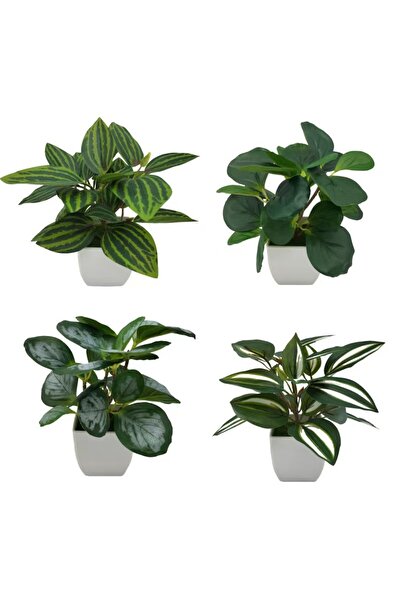 Choice 4 قطع من النباتات الاصطناعية، نباتات بونساي، نباتات مزيفة، إكسسوارات د...