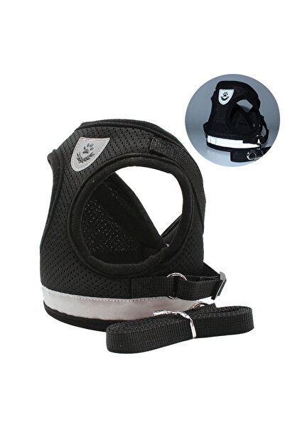 Choice طقم حزام ومقود للقطط السوداء مقاس XS، قابل للتعديل، عاكس للضوء، مقاوم ...
