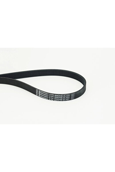 Continental V-Ribbed Transmission Belt Man Tge Bus/Tge Body/Tge Platform/Chas...