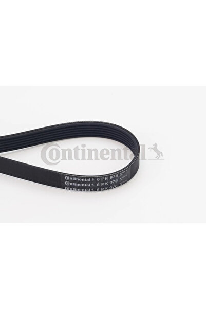 Continental Curea Transmisie Cu Caneluri Alfa Romeo 155/Gtv/Spider Citroen C4 2